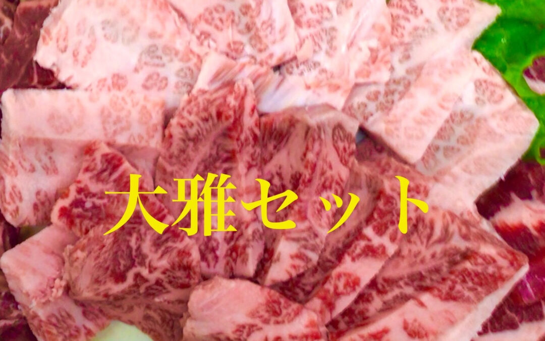 春がやって来ましたね✨桜も満開で外に出かけるには最高の季節で