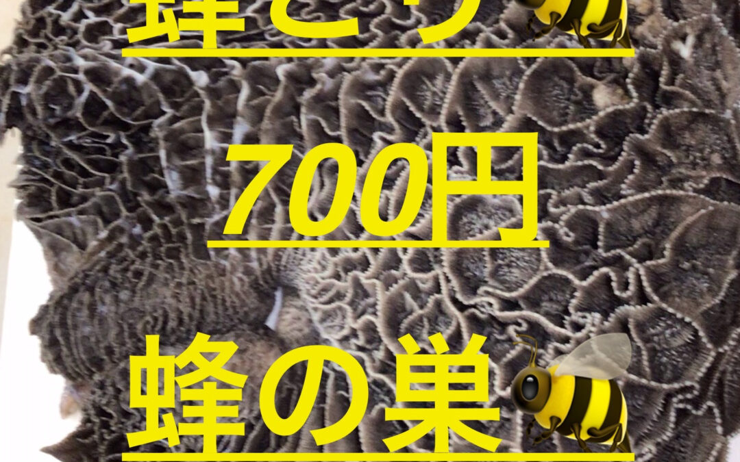 お肉で力をチャージしよう